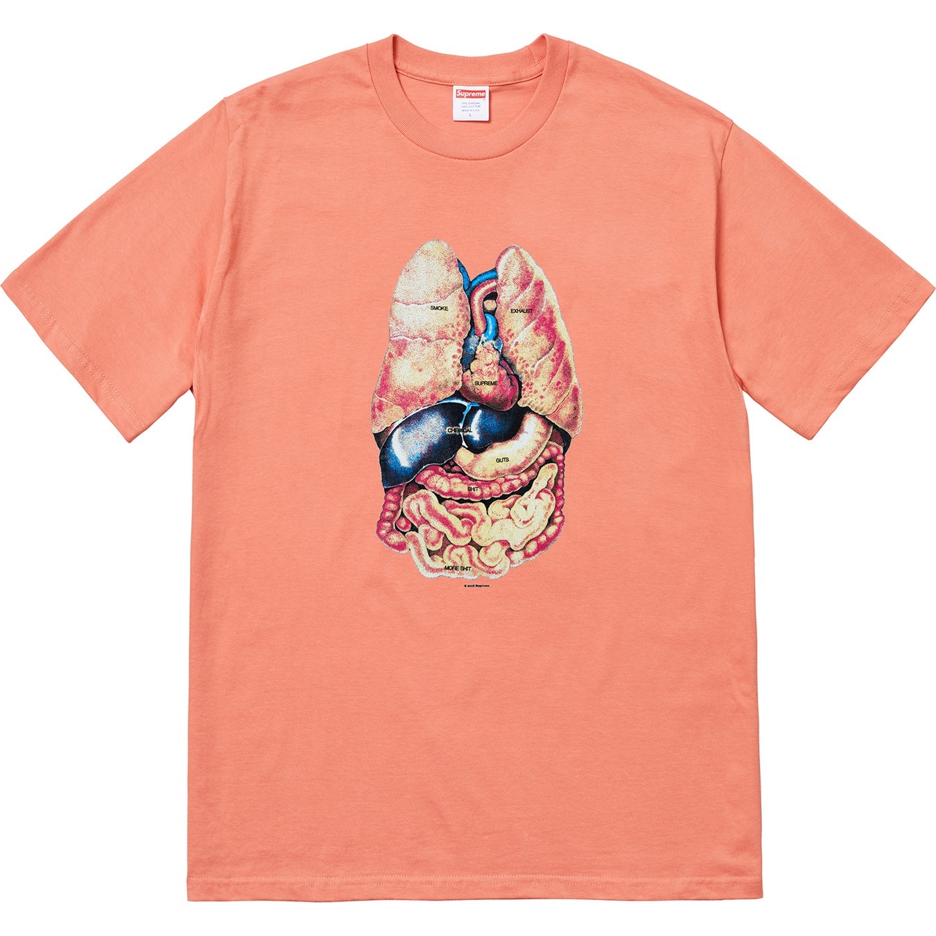 Guts Tee view 7